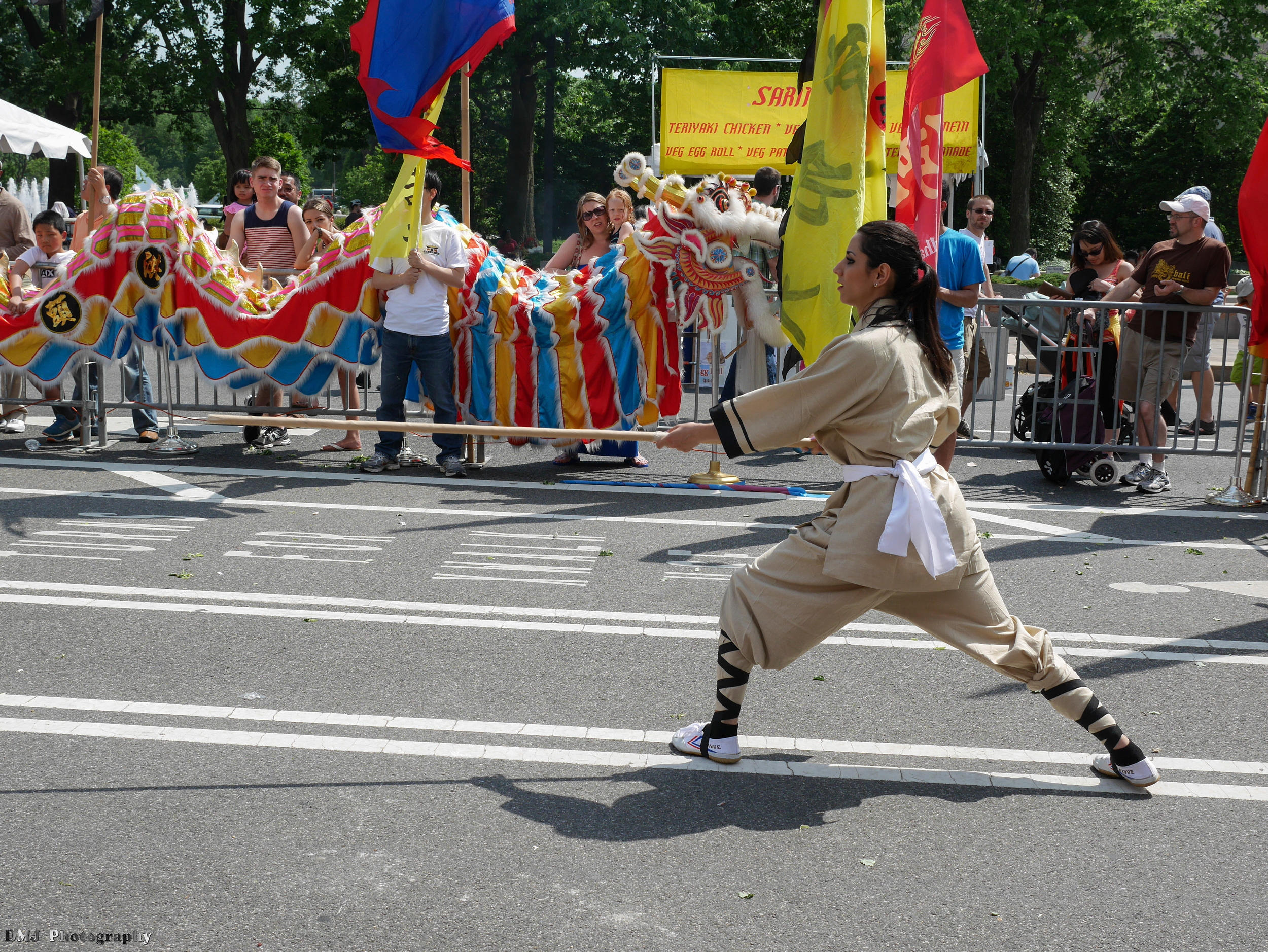 fiesta_asia_street_festival_2015_martial_arts_12.jpg