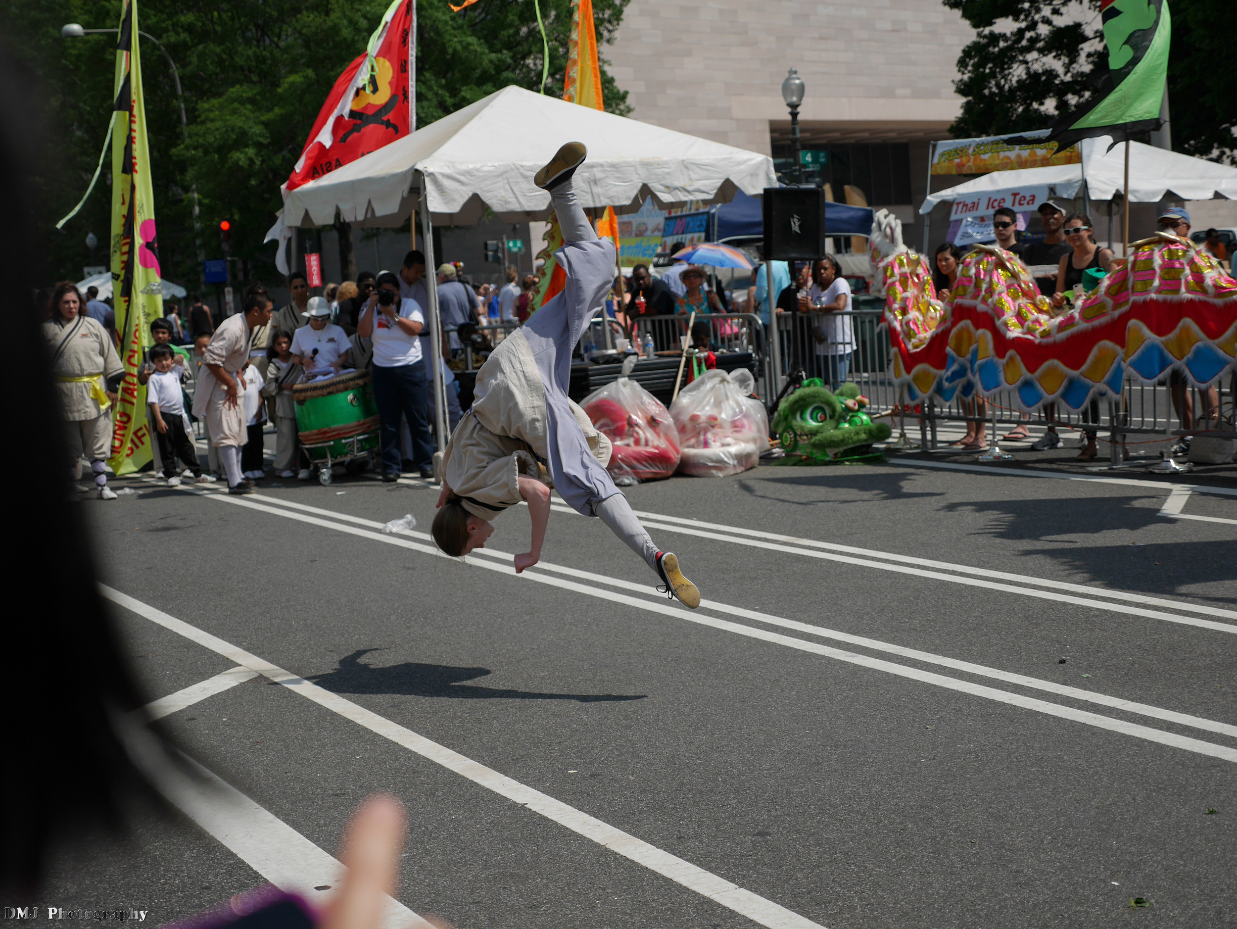 fiesta_asia_street_festival_2015_martial_arts_08.jpg