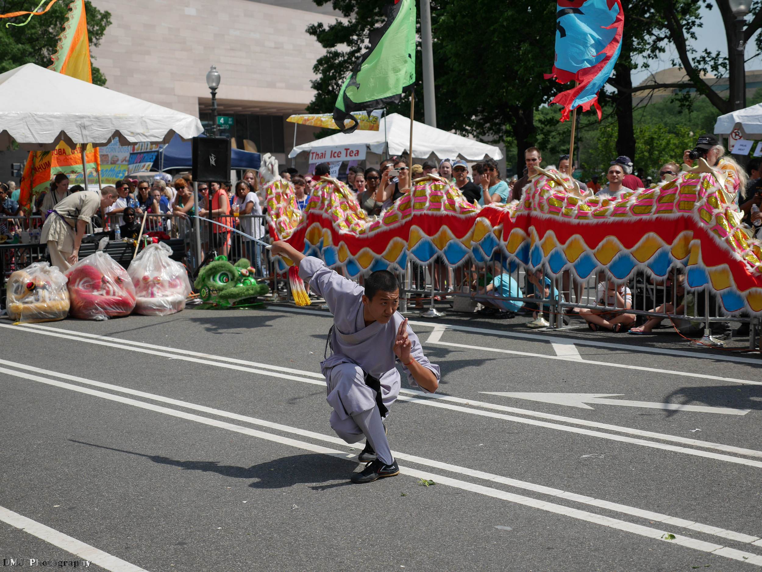 fiesta_asia_street_festival_2015_martial_arts_04.jpg