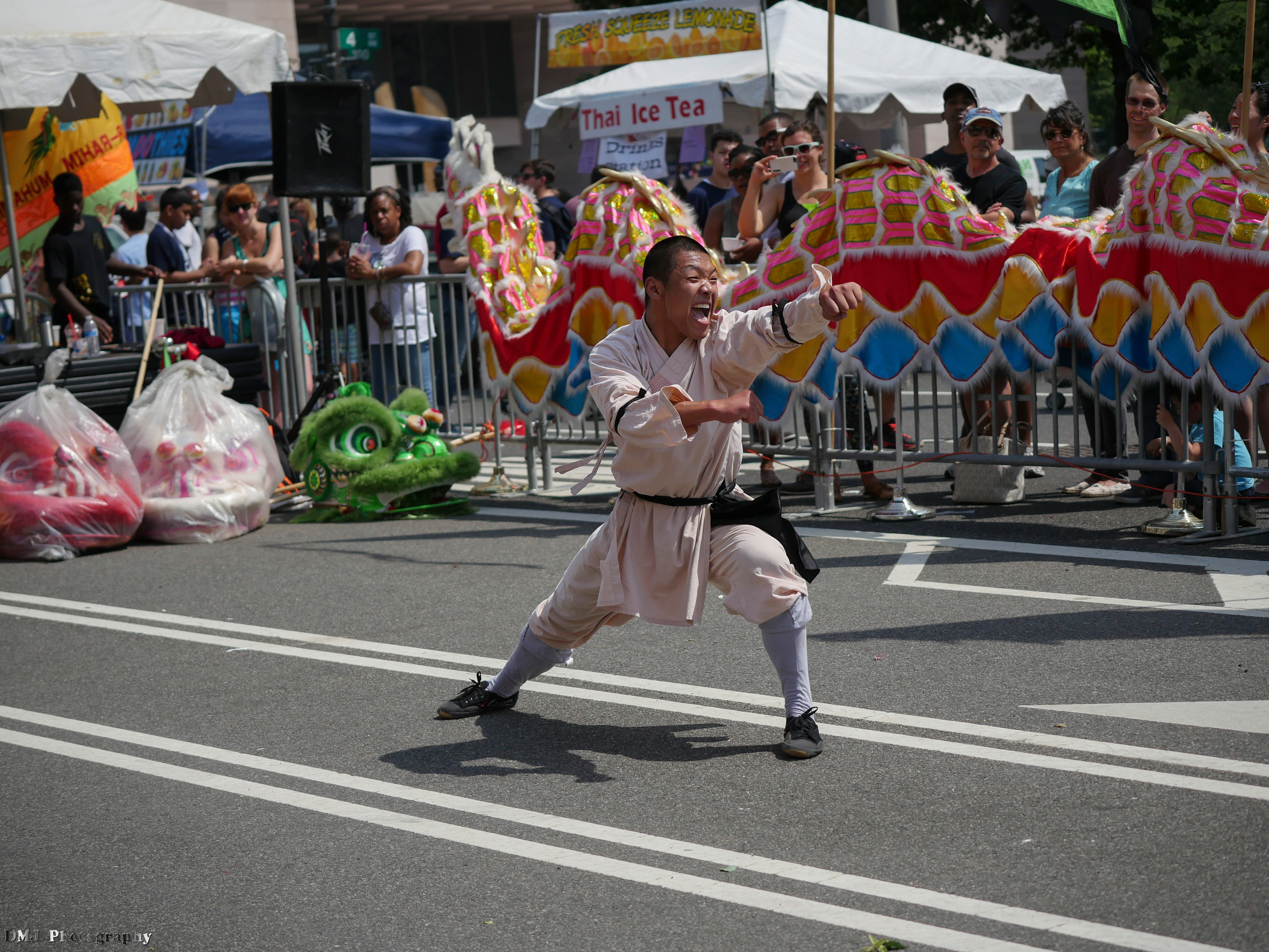 fiesta_asia_street_festival_2015_martial_arts_05.jpg