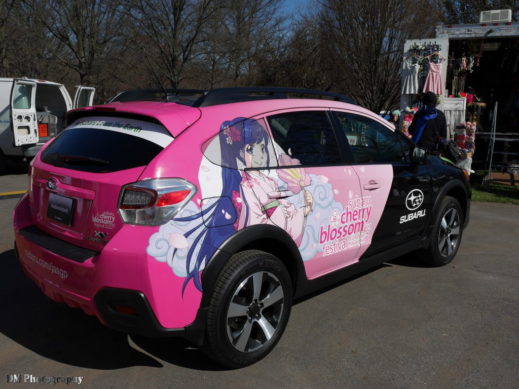 Sakura Sunday 2015 in Philadelphia,&nbsp;PA