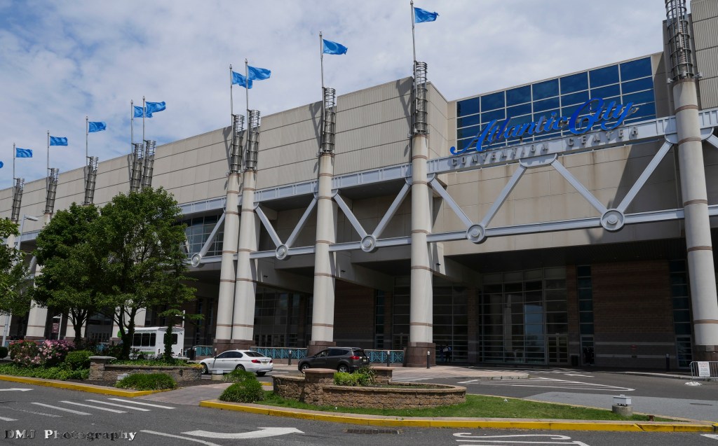 AnimeNEXT 2016 Convention&nbsp;Report