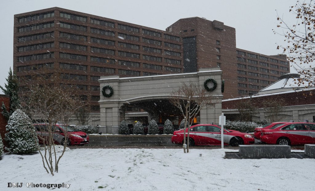 Anime USA 2017 Convention Report – Christmas&nbsp;Edition