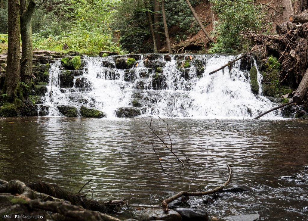 Colossalcon East 2018 Convention&nbsp;Report